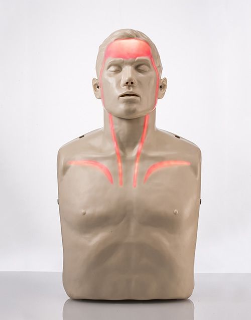 Brayden LED CPR Manikin